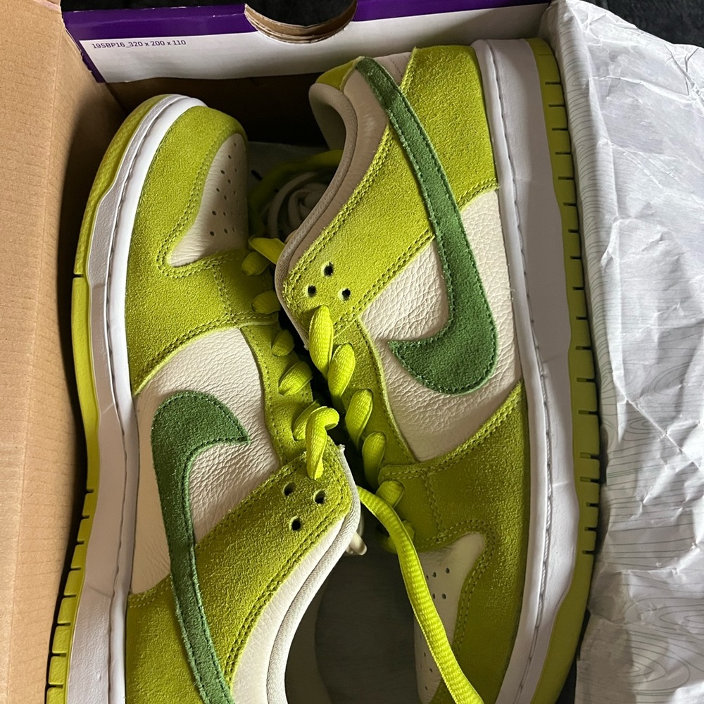 Nike DM0807-300 SB Dunk Low Green Apple.   Mens size 9